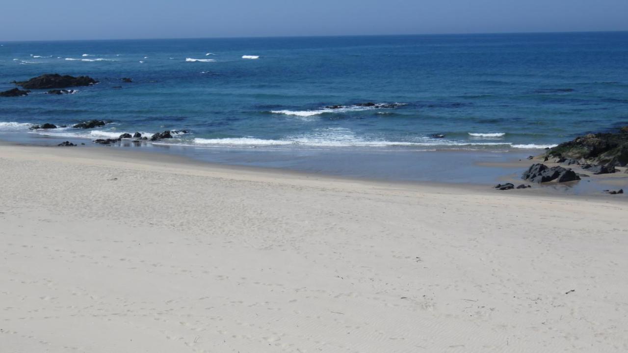 Afife & Insua Beach Apartment فيانا دو كاستيلو المظهر الخارجي الصورة